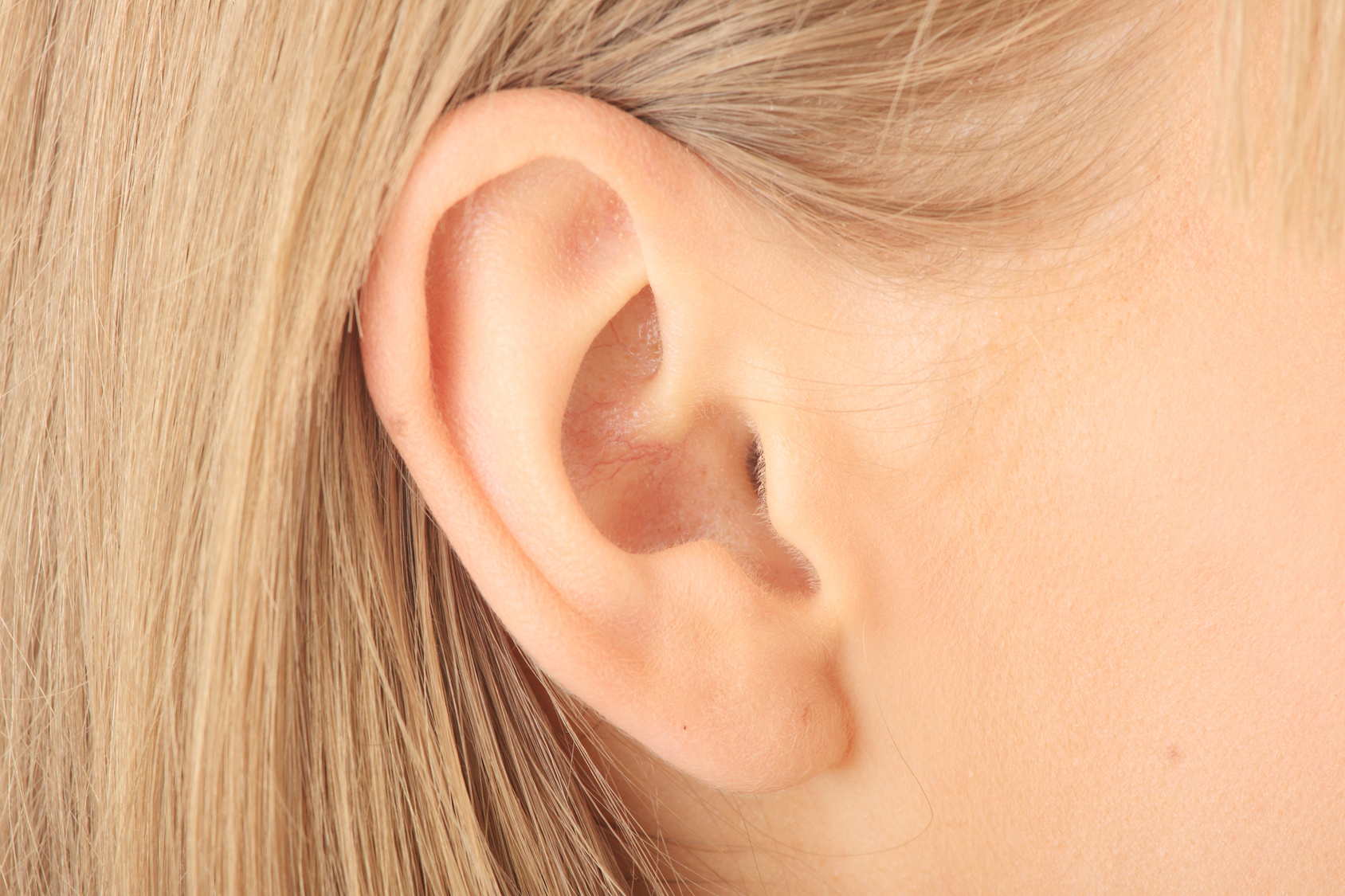 Closeup picture of blond girl ear